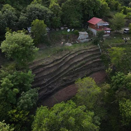 Tsanava'S Cottage In סינגאני מראה חיצוני תמונה