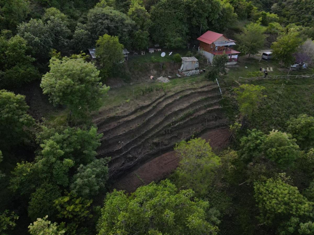 Tsanava'S Cottage In סינגאני מראה חיצוני תמונה