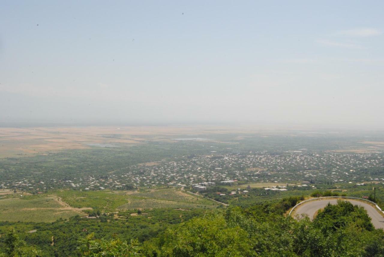Tsanava'S Cottage In סינגאני מראה חיצוני תמונה