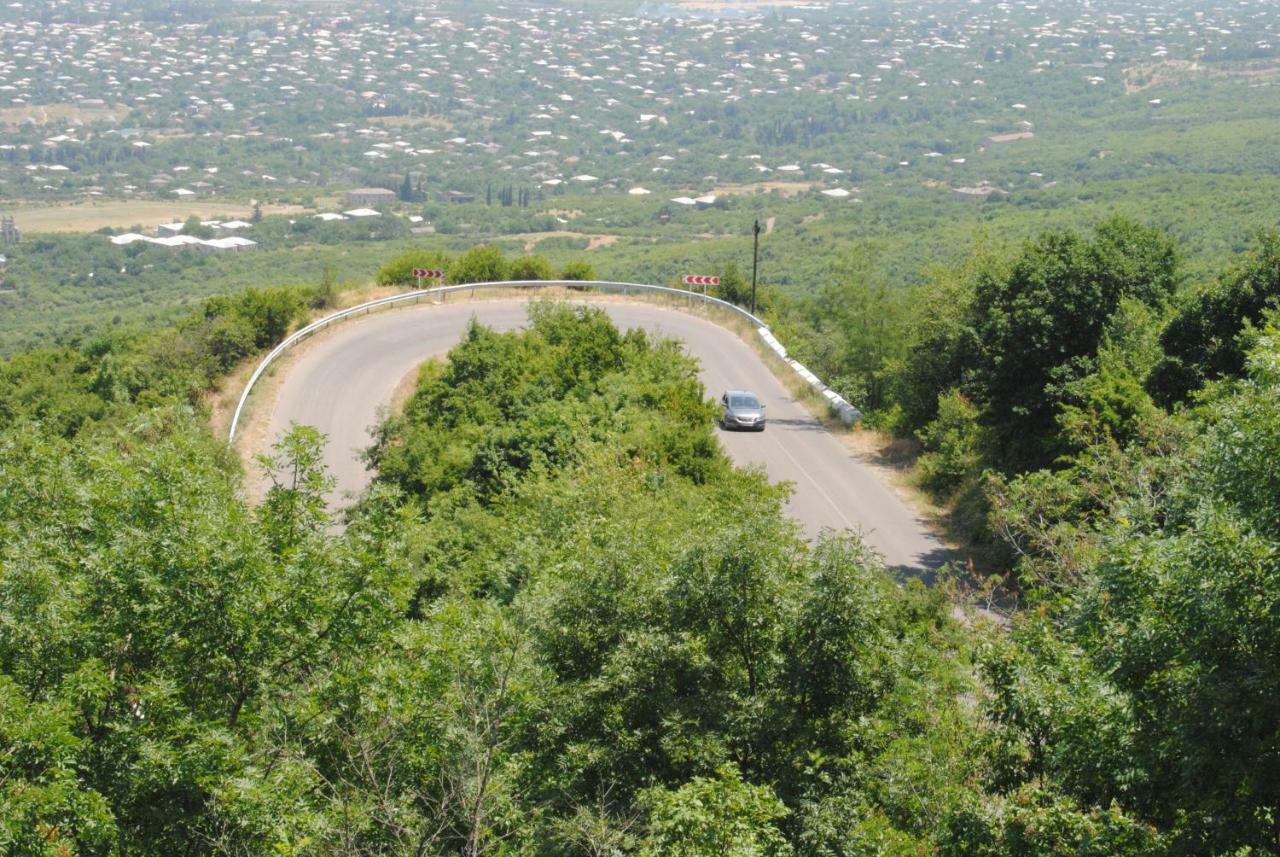 Tsanava'S Cottage In סינגאני מראה חיצוני תמונה