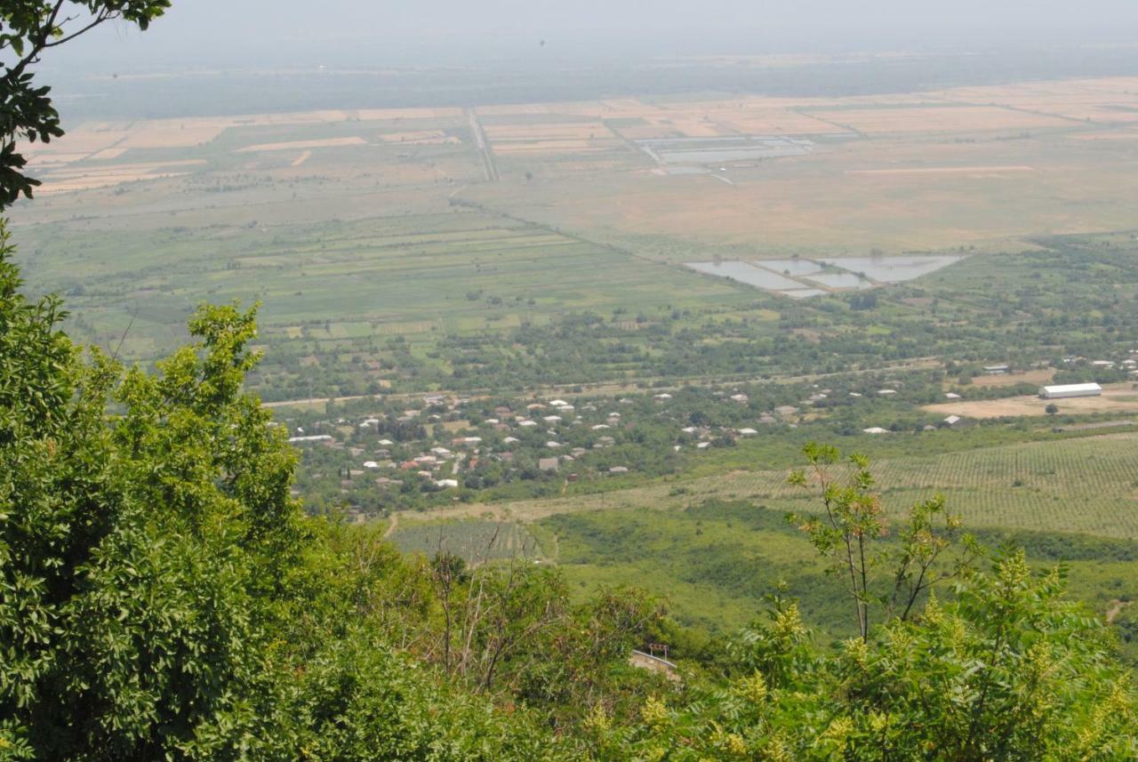 Tsanava'S Cottage In סינגאני מראה חיצוני תמונה