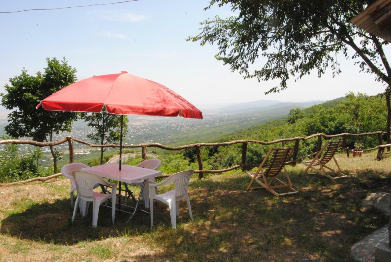 Tsanava'S Cottage In סינגאני מראה חיצוני תמונה